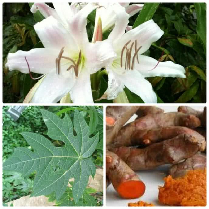 u nang buồng trứng ảnh 1
