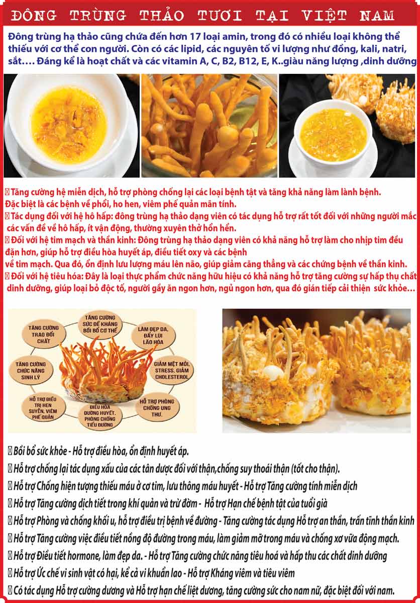 Menu Hàng Dương Quán - Quận 1  12 