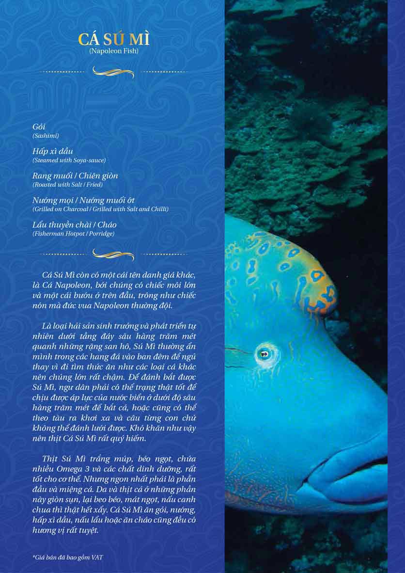 Menu Thế Giới Hải Sản – Pasteur 24 