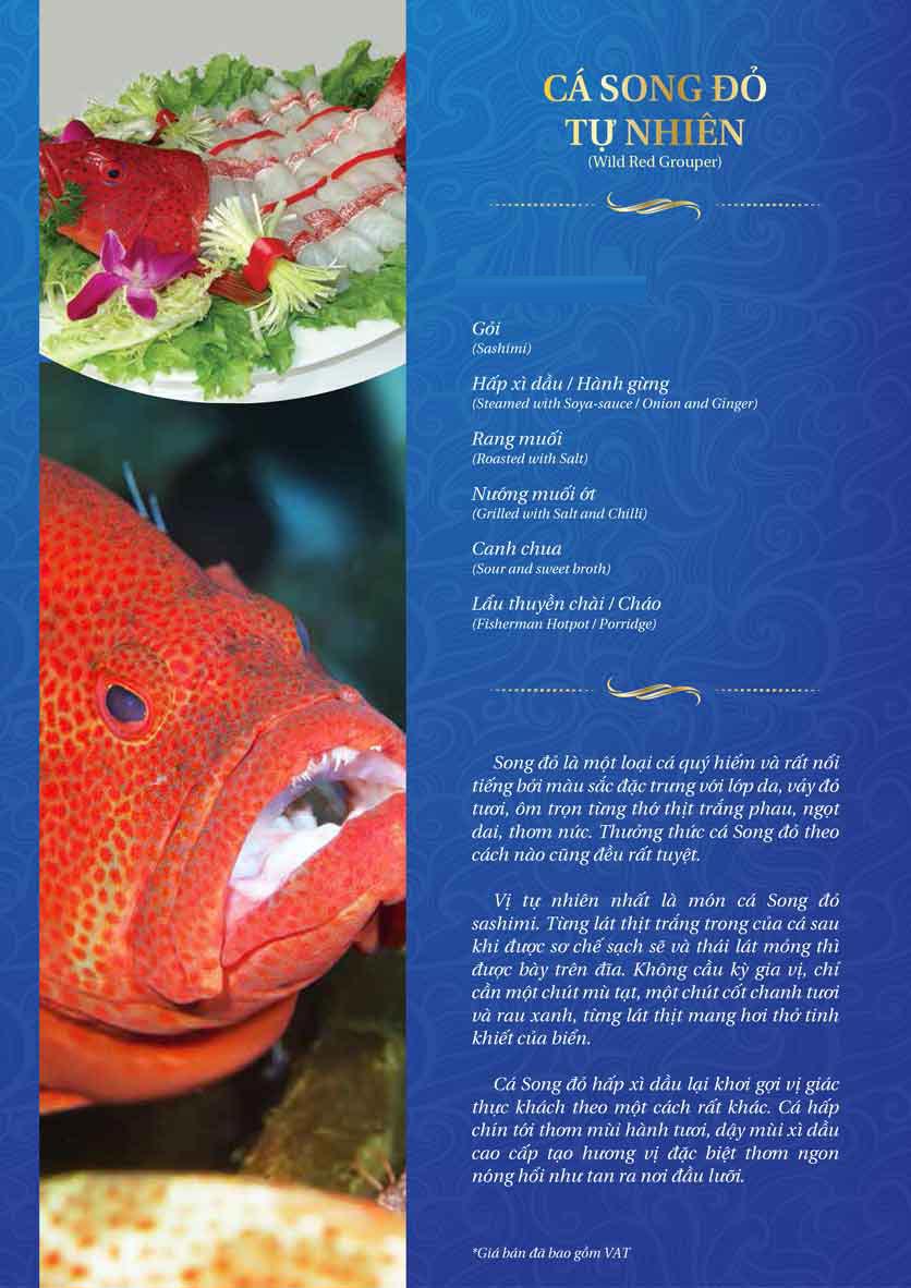 Menu Thế Giới Hải Sản – Pasteur 25 