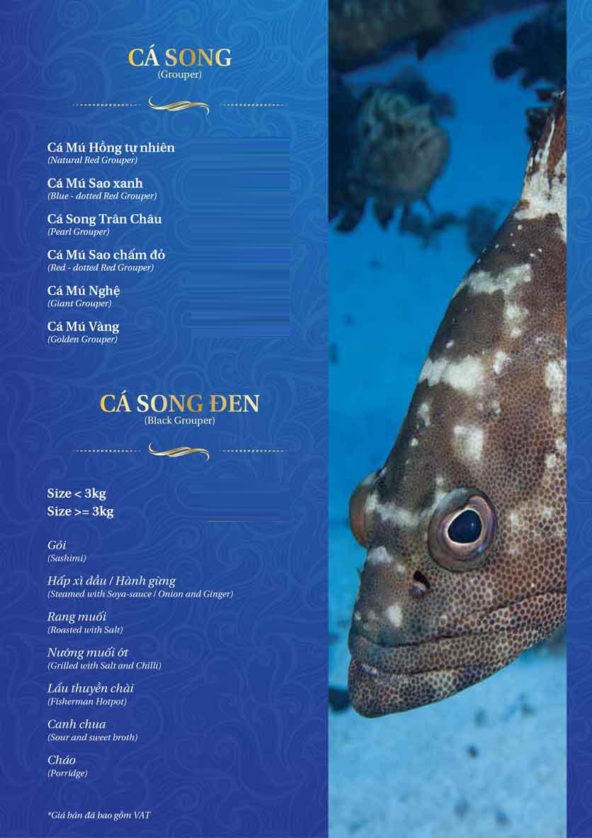 Menu Thế Giới Hải Sản – Pasteur 26 