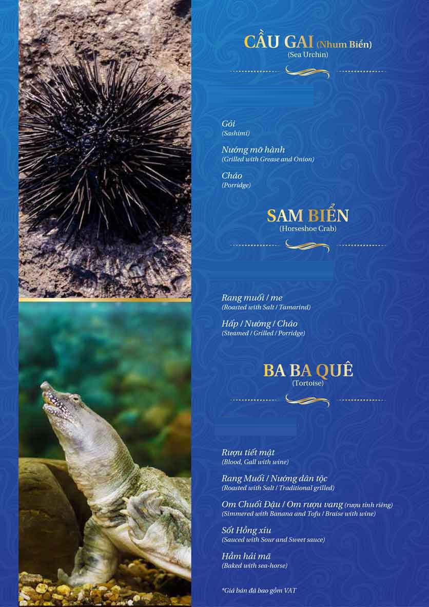 Menu Thế Giới Hải Sản – Pasteur 33 