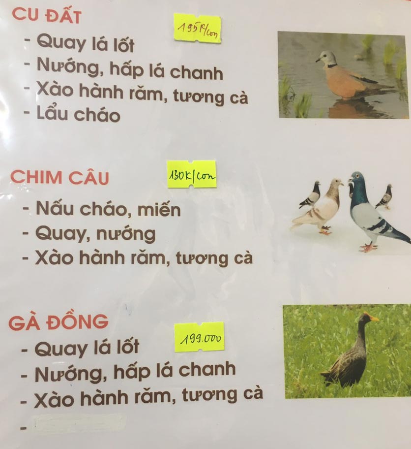 Menu Chim To Dần - Hà Nam Quán - Phạm Văn Đồng  5 