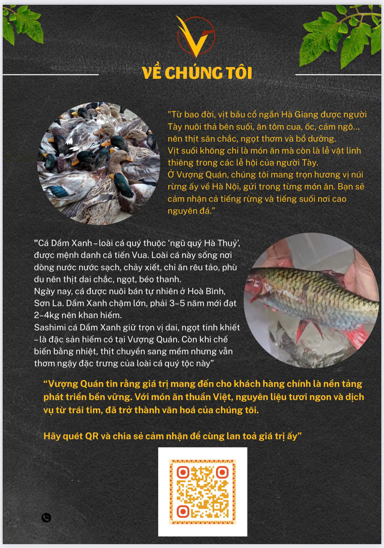 Menu Vượng Quán - Nguyễn Như Uyên 2 