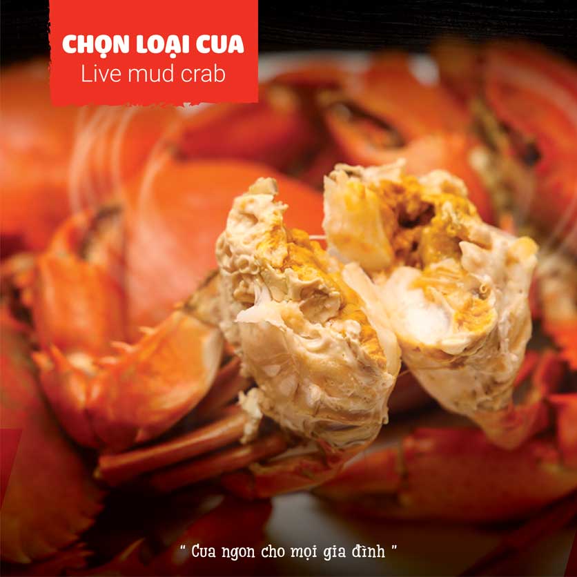 Menu King Of Crab – Vũ Huy Tấn 3