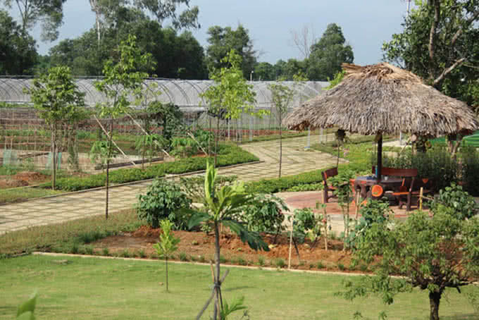 chuỗi nhà hàng hải cảng 5