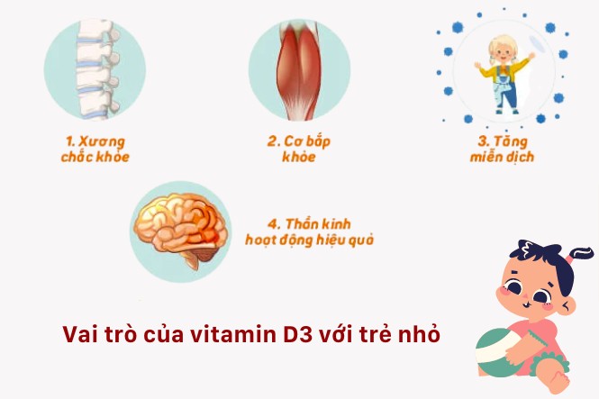 Vai trò của Vitamin D đối với sự phát triển chiều cao của trẻ