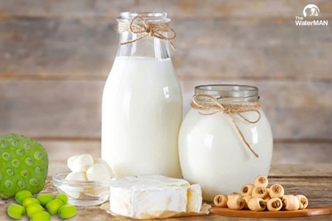 Sữa phân tử sen tương hỗ hạn chế cân nặng cực kỳ hiệu quả