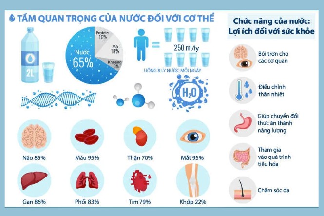 Tầm cần thiết của nước với cơ thể