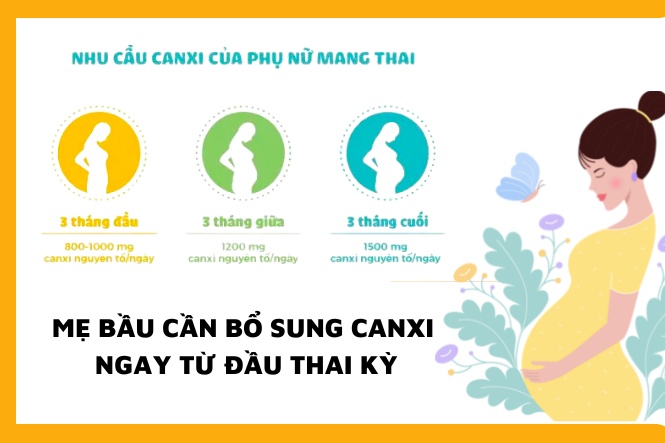 Canxi cho bà bầu uống khi nào: Từ đầu thai kỳ
