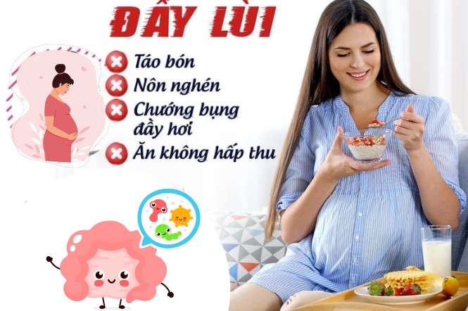 Lợi ích của men vi sinh đối với bà bầu