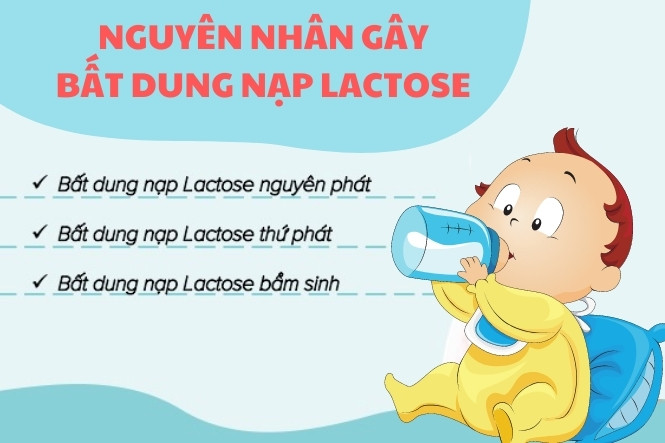 Nguyên nhân khiến trẻ bị bất dung nạp lactose