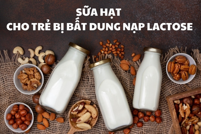 Thức ăn cho trẻ bất dung nạp lactose