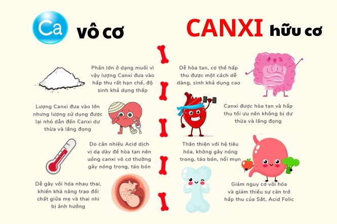 Nên chọn thuốc canxi cho bà bầu dạng hữu cơ
