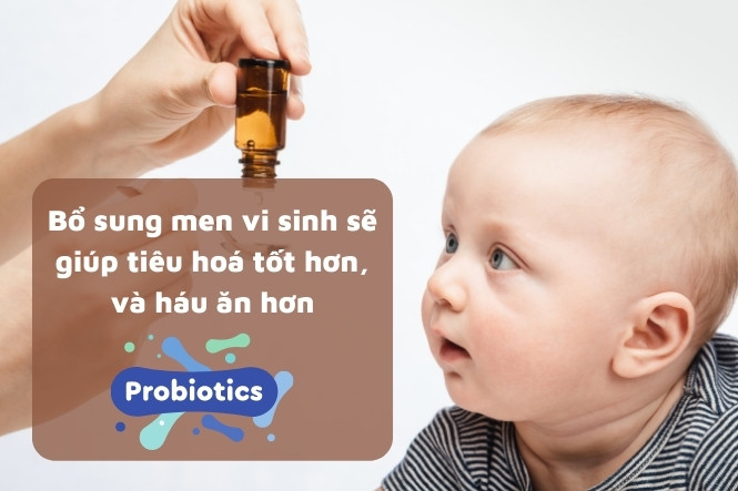 Trẻ 3 tuổi biếng ăn nên bổ sung gì: Men vi sinh