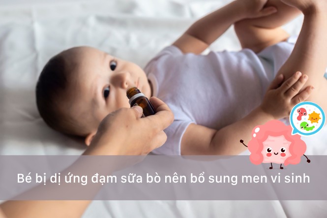 Đánh bay biểu hiện dị ứng đạm sữa bò với men vi sinh