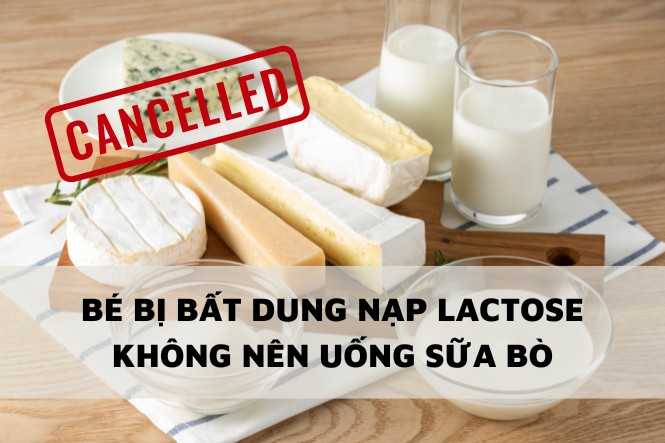 Trẻ bất dunng nạp lactose hạn chế dùng các sản phẩm từ sữa