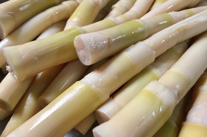 Mẹ bầu ăn măng được không: Cần chế biến cẩn thận