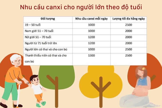 Người lớn uống canxi bao lâu thì ngưng phụ thuộc vào nhu cầu theo độ tuổi