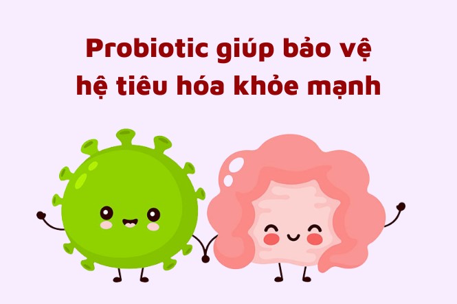 Probiotic là thuốc gì: Lợi ích probiotic đem lại