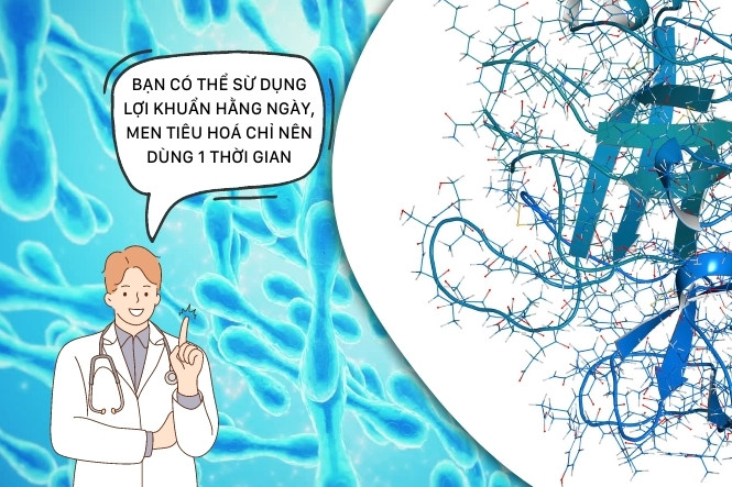 Men vi sinh hay men tiêu hoá tốt hơn