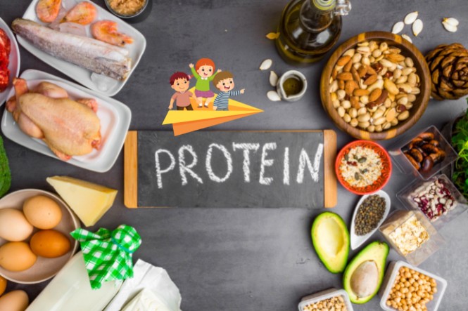 Thực phẩm giàu protein cho trẻ