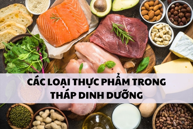 Các loại thực phẩm có trong tháp dinh dưỡng