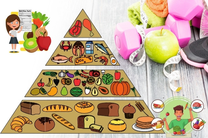 Tháp dinh dưỡng - Sơ đồ thực phẩm cho một chế độ ăn cân đối
