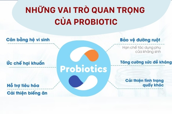 vai trò của Probiotic với hệ tiêu hoá của trẻ