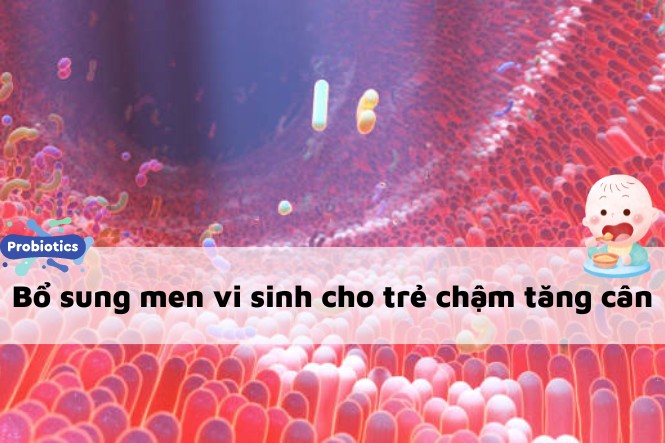 8 giải pháp cho bé chậm tăng cân: Bổ sung men vi sinh cho bé