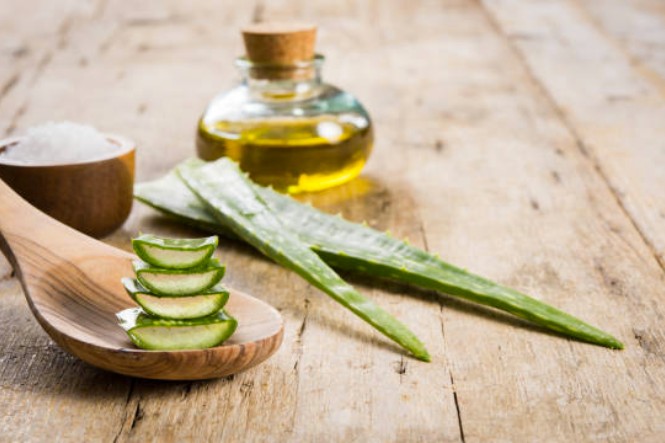 Mặt nạ nha đam và dầu oliu giúp nuôi dưỡng làn da