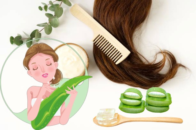 Bạn có thể dùng nha đam để dưỡng tóc