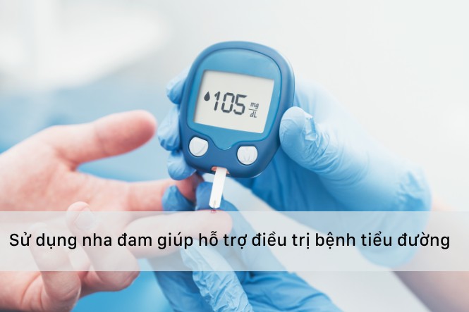 Cây nha đam có tác dụng hỗ trợ điều trị bệnh tiểu đường