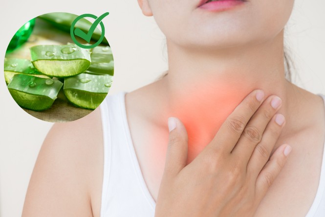 Có thể sử dụng nha đam để điều trị ho