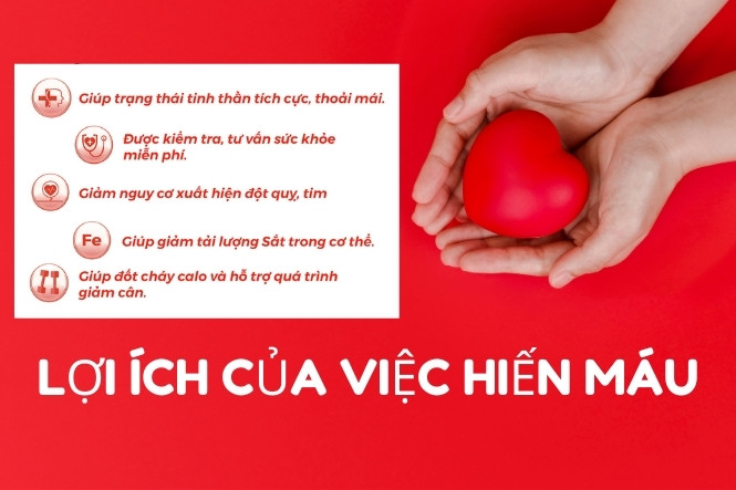 Hiến máu có giảm cân không: Lợi ích của hành đông hiến máu