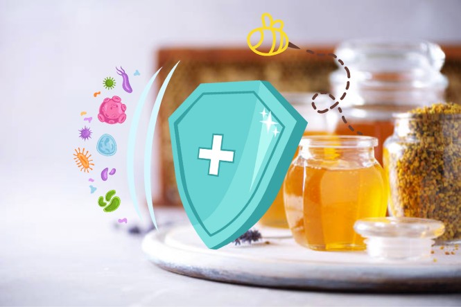 Uống mật ong có tác dụng gì: Tăng đề kháng
