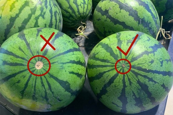 Cách chọn dưa hấu ngon