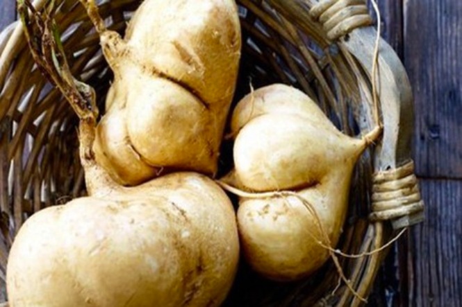 Ăn củ đậu cung cấp chất xơ giúp giảm tình trạng táo bón