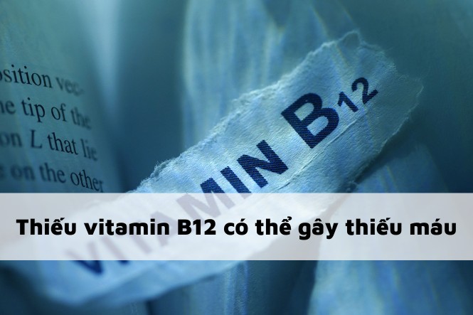 Thiếu máu uống vitamin gì: Vitamin B12