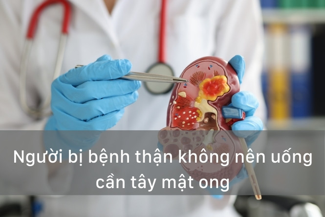 Người bị bệnh thận nên cân nhắc sử dun cần tây mật ong