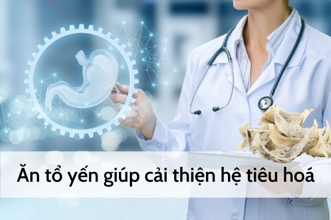 Tổ yến có tác dụng gì: Tốt cho hệ tiêu hoá