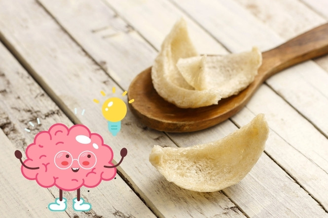 Tổ yến có tác dụng gì: Tốt cho não bộ