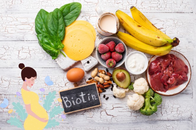 Vitamin H có tác dụng gì: Cần thiết cho bà bầu