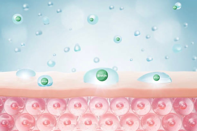 Vitamin H có tác dụng gì: Giúp đẹp da