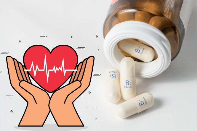 Vitamin H có tác dụng gì: Tốt cho tim mạch
