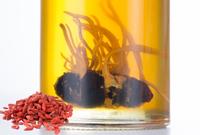 Kết hợp ngâm đông trùng hạ thảo với kỷ tử