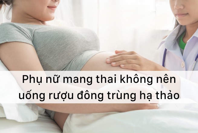 Phụ nữ mang thai không nên uống rượu đông trùng hạ thảo