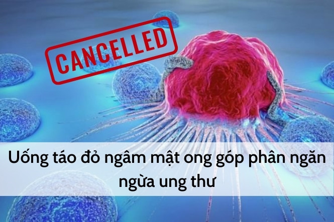 Táo đỏ ngâm mật ong có tác dụng gì? Giúp ngừa ung thư