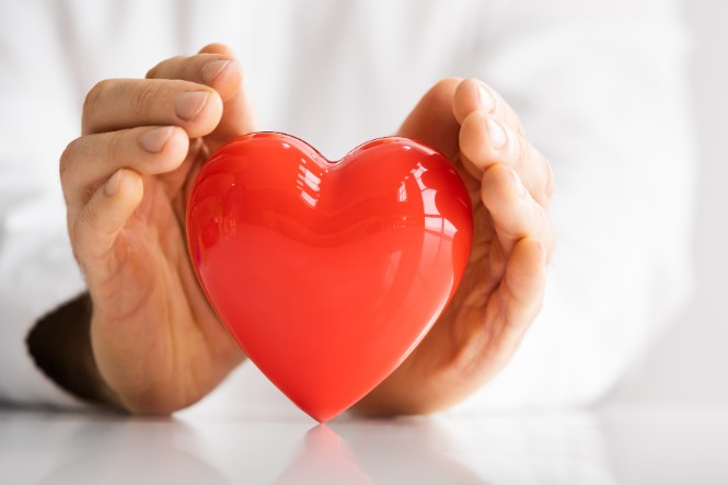 Uống đông trùng hạ thảo có tác dụng gì: Tốt cho tim mạch