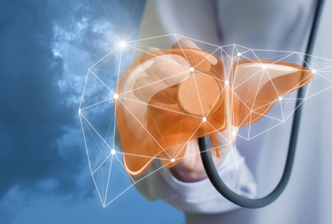 Đông trùng hạ thảo trị bệnh gì: Hỗ trợ điều trị bệnh gan